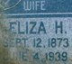  Eliza Ann <I>Herbert</I> Cook