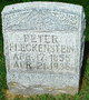  Peter E. Fleckenstein