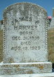  James Alexander Harvey