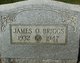  James Omar Briggs