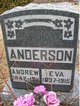  Andrew Anderson