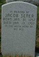  Jacob Sener
