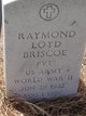 Pvt Raymond Loyd Briscoe