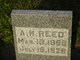 A. H. Reed