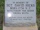 Sgt David Hicks Jr.