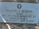  Walter Joshua Bodine