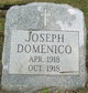  Joseph Domenico