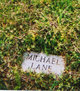  Michael Lane Shepard