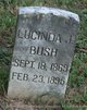  Lucinda J Bush