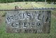 Breedsville Cemetery