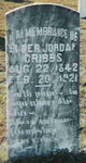 Elder Henry Jordan Cribbs
