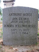  Anthony Morse