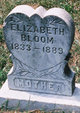  Mary Elizabeth <I>Skaggs</I> Bloom