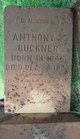  Anthony T Buckner
