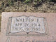  Walter Erie Wiggs