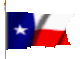 Texas Connection