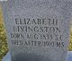 Mrs Nancy Elizabeth “Lizzie” <I>Kinard</I> Livingston