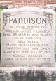  William James Paddison