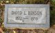  David Lewis Hinson
