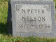  N Peter Nelson