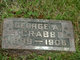  George A. Crabb