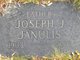  Joseph John Janulis