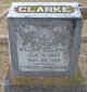  William Y. Clarke