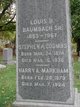  Louis Henry Baumbach Sr.