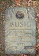  Erwin H. A. Busig