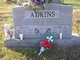  Mary Agnes <I>Holeman</I> Adkins