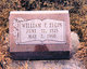  William Francis Elgin