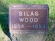  Silas Wood