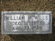  William M Wills