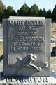  Mary Devlin <I>Muse</I> Elvington