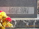  David Zeno Hiner