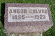  Anson Darwin Culver
