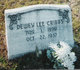  Dewey Lee Cribbs