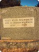  Alice <I>Ryon</I> Walworth