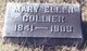  Mary Ellen <I>Fowler</I> Collier