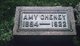  Amy Cheney
