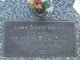  Gary David Herbel