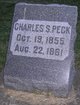  Charles Scoville Peck