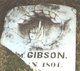  William Gibson