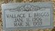  Wallace Eugene Briggs