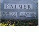  Annie Rachel <I>Wisner</I> Palmer