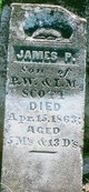  James P. Scott