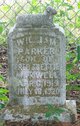  William Parker Maxwell