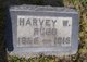  Harvey W. Rugg Jr.