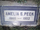  Amelia Sophia <I>Koster</I> Peck