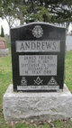  James Friend Andrews